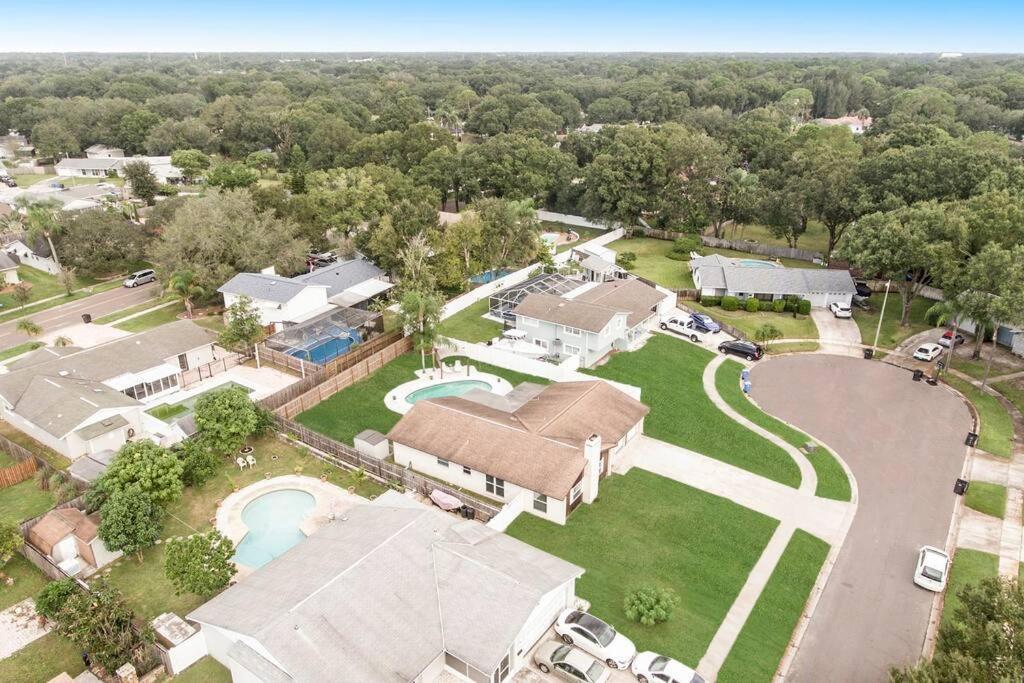 Y&m Sweet Home! Tampa